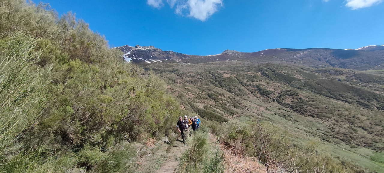 WhatsApp Image 2026-03-23 at 08.14.03 (2)